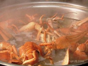 Раки по-французски - фото Раки по-французски