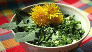 Салат из листьев одуванчика «весенний»