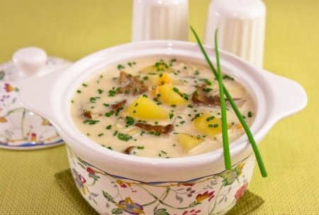 Сырный суп с белыми грибами